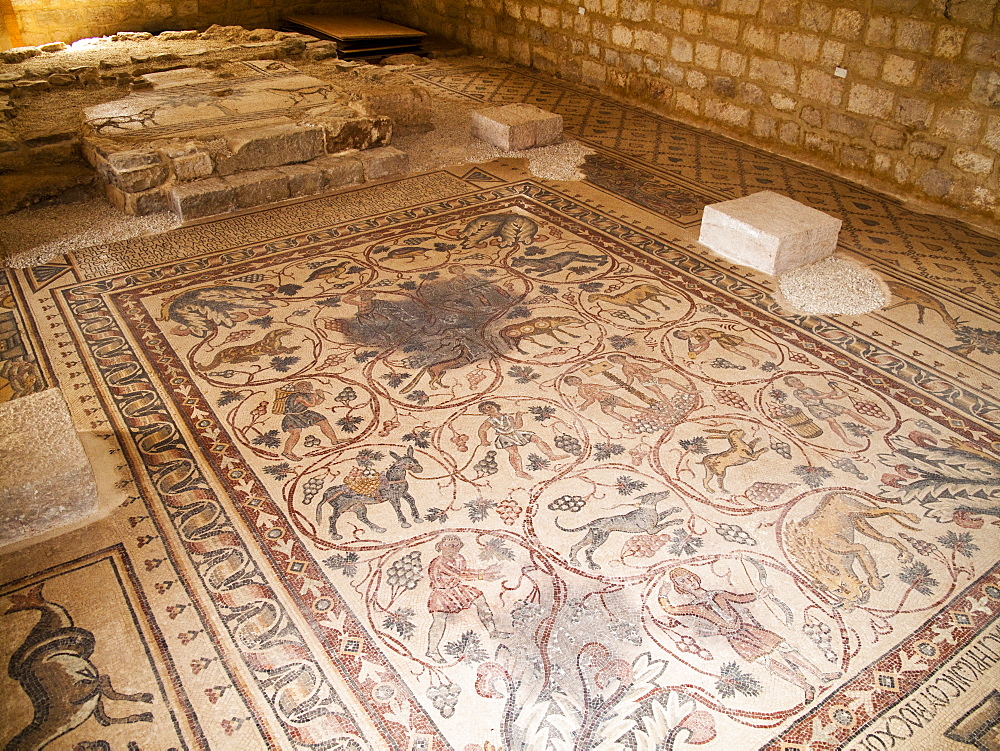 Middle East, Jordan, Lot and Procopio Mosaics, near Mont Nebo, a hidden mosaic of extraordinary beauty