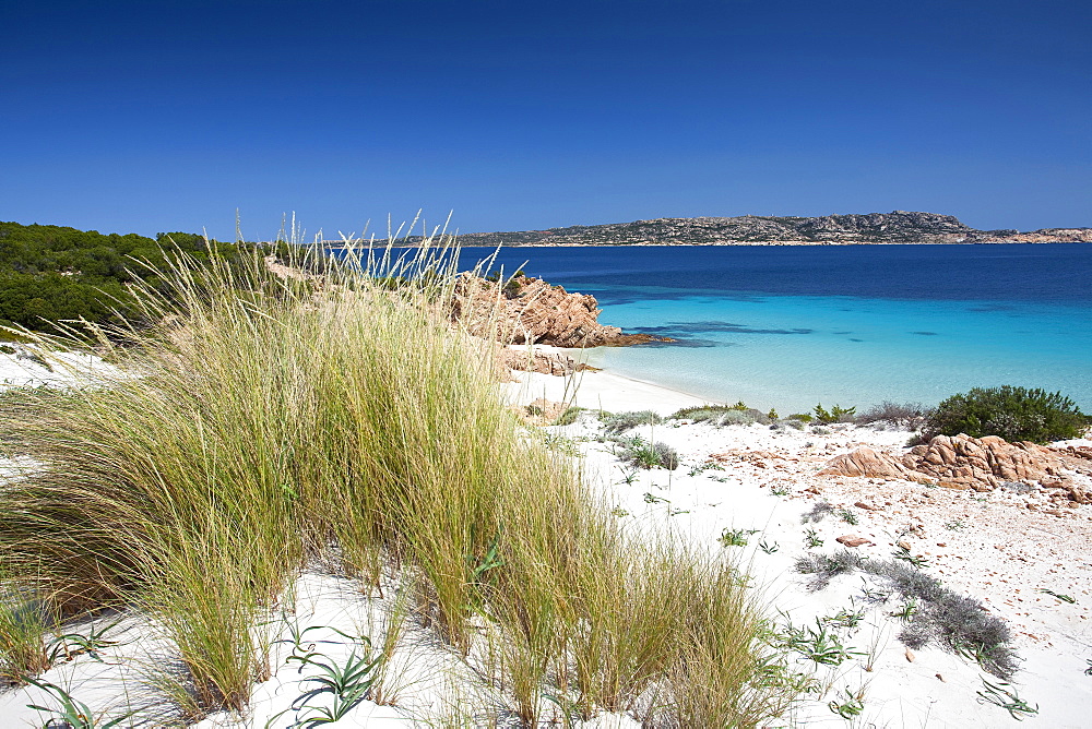 Cala Ciaccaro, Cala Soraia, Isola di Spargi island, La Maddalena (OT), Sardinia, Italy, Europe