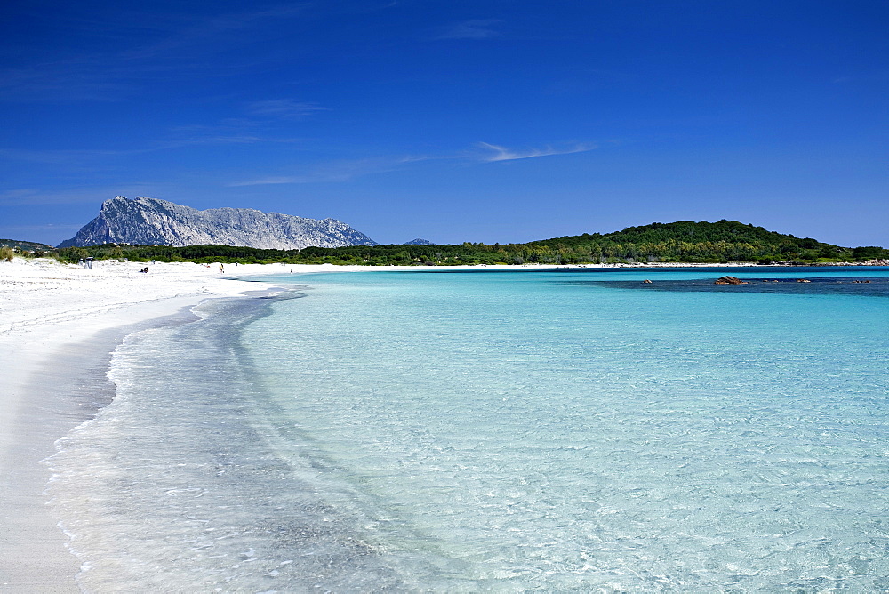 Spiaggia di Cala Brandinchi beach, Lu Impostu, Marina di Puntaldia, San Teodoro (OT) , Sardinia, Italy, Europe