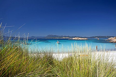 Isola di Mortorio island, Maddalena archipelago National Park, La Maddalena, Arzachena, Sardinia, Italy, Europe