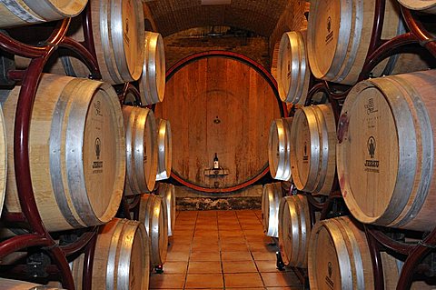 Cantina di Jerzu cellar, Jerzu, Ogliastra, Sardinia, Italy, Europe 