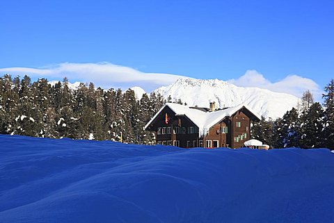 House in the pinewood with snow near di St. Moritz, Engadin, canton of Graubvºnden, Switzerland, Europe