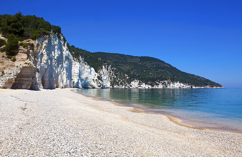 Vignanotica Bay, coast between Mattinata and Vieste, Gargano Promontory, Gargano National Park, Puglia, Italy