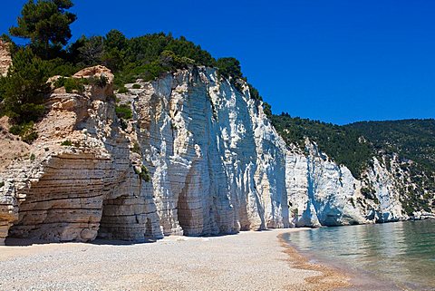 Vignanotica Bay, coast between Mattinata and Vieste, Gargano Promontory, Gargano National Park, Puglia, Italy