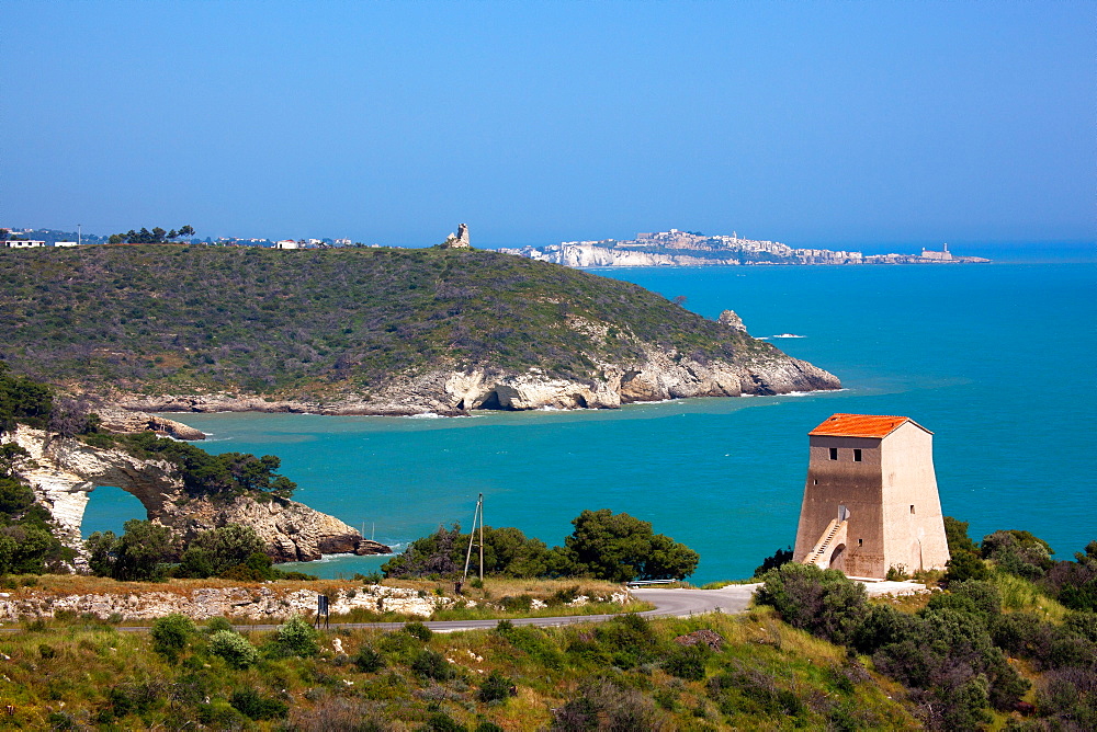 San Felice tower and on the backgrount the Architiello rock, San Felice Bay, coast between Mattinata and Vieste, Gargano Promontory, Gargano National Park, Puglia, Italy