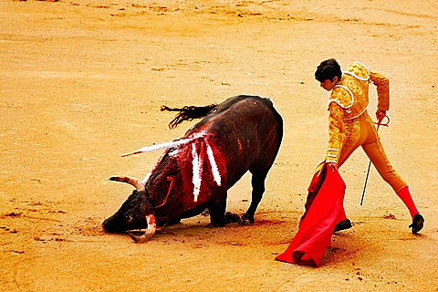 Bullfighting, La Venta, Madrid, Spain, Europe