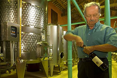 Paolo Bernocchi, Cantine Scacciadiavoli, Montefalco, Umbria, Italy, Europe