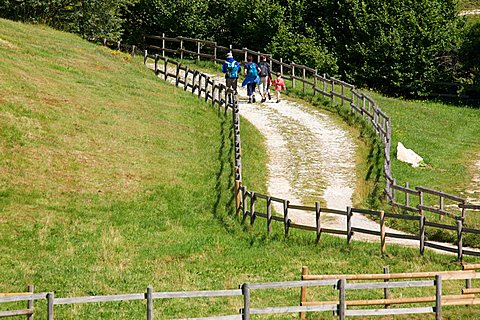 Malga Fratte near Sega di Ala in Lessinia, Trentino Alto Adige, Italy, Europe