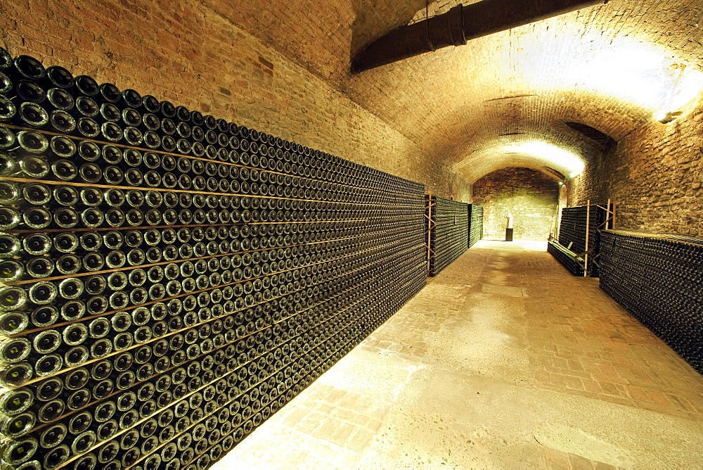 Bosca underground wine cathedral in Canelli, Asti, Piedmont, Italy, Europe