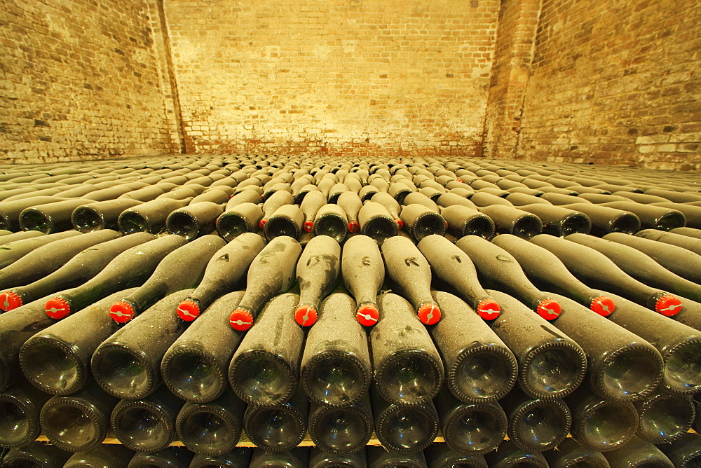 Bosca underground wine cathedral in Canelli,a bed of vintage bottles, Asti, Piedmont, Italy