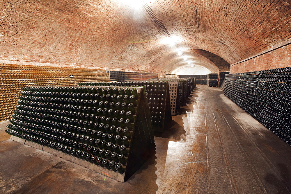 Contratto underground wine cathedral in Canelli, Asti, Piedmont, Italy, Europe