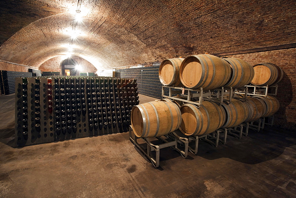 Contratto underground wine cathedral in Canelli, Asti, Piedmont, Italy, Europe