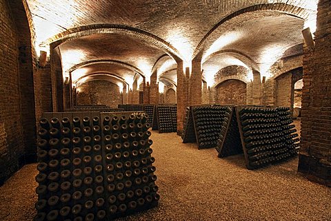 Contratto underground wine cathredral in Canelli, Asti, Piedmont, Italy, Europe