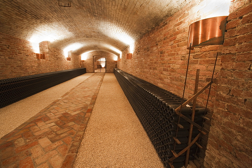 Contratto underground wine cathredral in Canelli, Asti, Piedmont, Italy, Europe