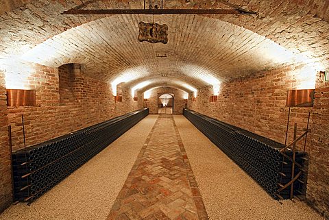 Contratto underground wine cathredral in Canelli, Asti, Piedmont, Italy, Europe