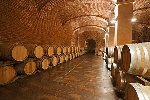 Gancia underground wine cathedral in Canelli, the barrels made by oak wood and named "barriques" where the wine is maturing,  Asti, Piedmont, Italy, Europe