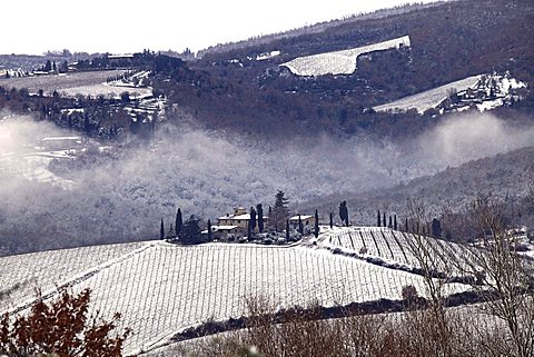 Foreshortening, Chianti country,Tuscany,Italy, Europe