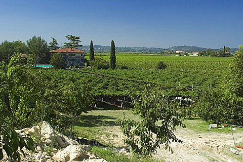 San Pietro in Cariano, Valpolicella, Verona, Veneto, Italy, Europe