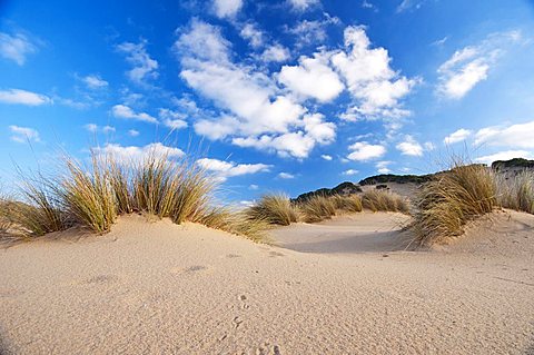 Dunes, Piscinas beach, Arbus, Medio Campidano Province, Sardinia, Italy, Europe