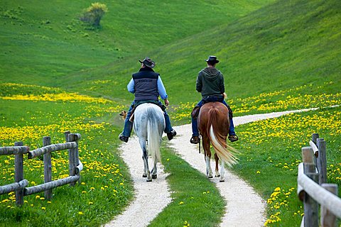 Horse trekking near Fratte hut, Sega di Ala, Monti Lessini, Trentino Alto Adige, Italy, Europe