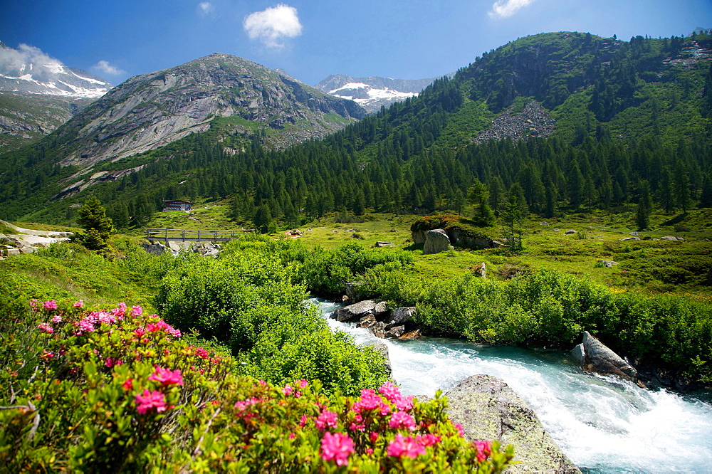 Chiese river in Adamello-Brenta Natural Park, Fumo Valley, Val di Daone, Valli Giudicarie, Trentino Alto Adige, Italy, Europe