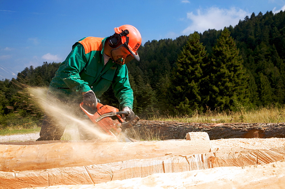 Lumberjack with chainsaw, Lessini mountain, Sega di Ala, Trentino Alto Adige, Italy, Europe