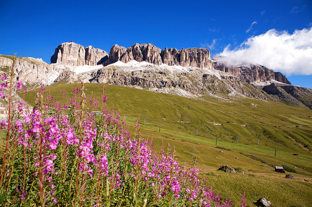 Landscape to Pordoi pass with view on Sella mountain and  Piz Bovû, Dolomites, Fassa valley, Trentino Alto Adige, Italy, Europe