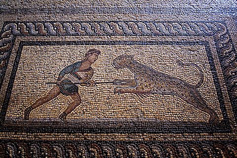 Mosaic, Palace of the Grand Master, Rhodes, Dodecanese, Greek Islands, Greece