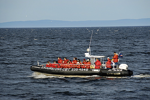 Whale-watching boat, Saint Lawrence River estuary, Quebec, Canada, North America