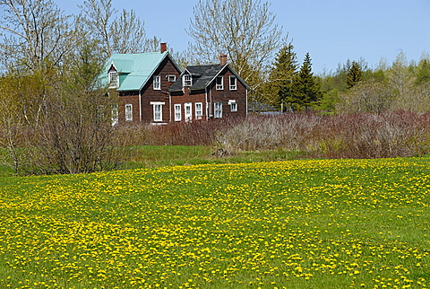 South Coast, Gaspe peninsula, Quebec, Canada, North America