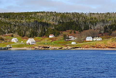 Bonaventure Island, Perce, Gaspe peninsula, Quebec, Canada, North America