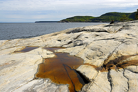 Tadoussac, Saint Lawrence estuary, La Haute-Cv¥te-Nord, Quebec, Canada, North America