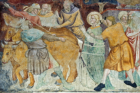 fresco in the collegiata di sant'andrea, empoli, italy