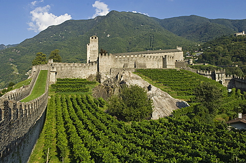 castelgrande and the murata, bellinzona, switzerland