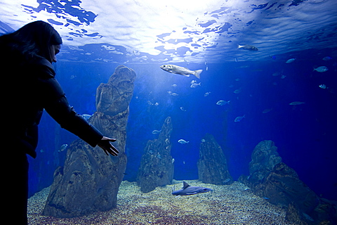Acquario di Cala Gonone, Dorgali, Provincia di Nuoro, Sardinia, Italy