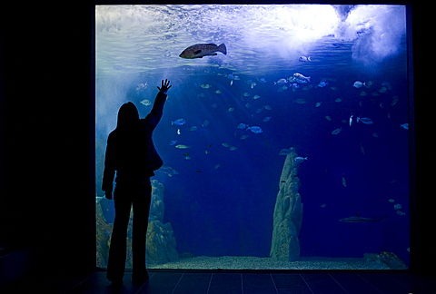 Acquario di Cala Gonone, Dorgali, Provincia di Nuoro, Sardinia, Italy