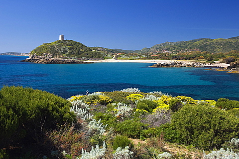 Chia Tower from Su Cardulinu beach, Chia, Domus de Maria, Cagliari district, Sardinia, Italy, Europe