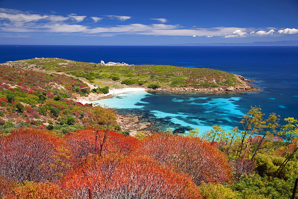 Cala Ponzesi beach, Cala Sabina, Asinara island, Porto Torres, Sardinia, Italy, Europe