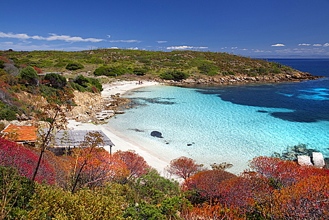 Cala Ponzesi beach, Cala Sabina, Asinara island, Porto Torres, Sardinia, Italy, Europe