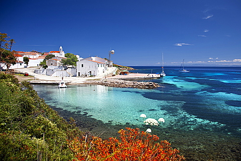 Cala d'Oliva, Asinara island, Porto Torres, Sardinia, Italy, Europe