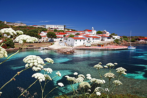 Cala d'Oliva, Asinara island, Porto Torres, Sardinia, Italy, Europe