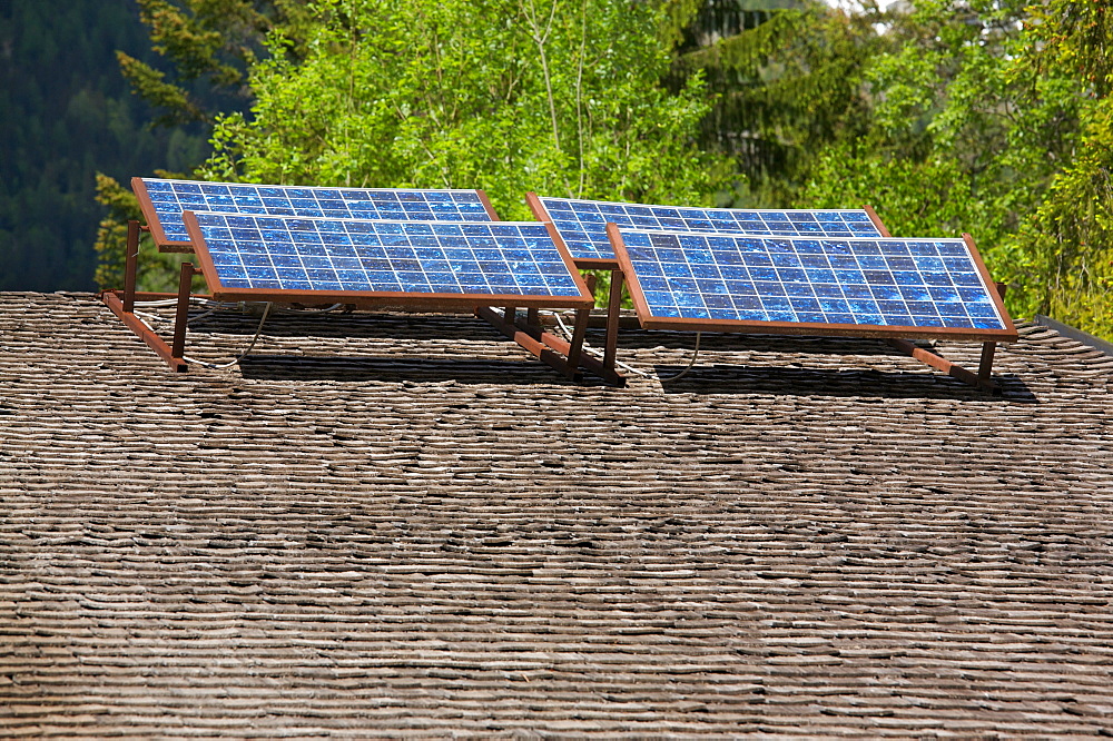 larch scandole and photovoltaic panel at Genova valley, Natural Park Adamello Brenta, Rendena, Giudicarie, Trentino, Italy