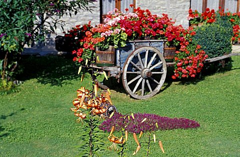 Floral decoration, Trentino Alto-Adige, Italy