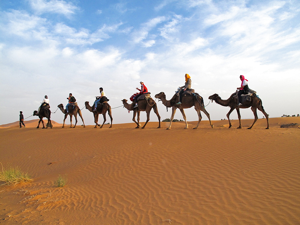 Erg Chebbi Desert, tour with the camels, Morocco, North Africa