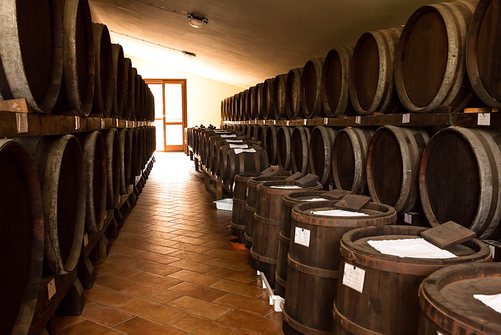 Traditional acetaia where it is aged balsamic vinegar of Modena, IGP, ABM, Magreta, Emilia Romagna, Italy, Europe