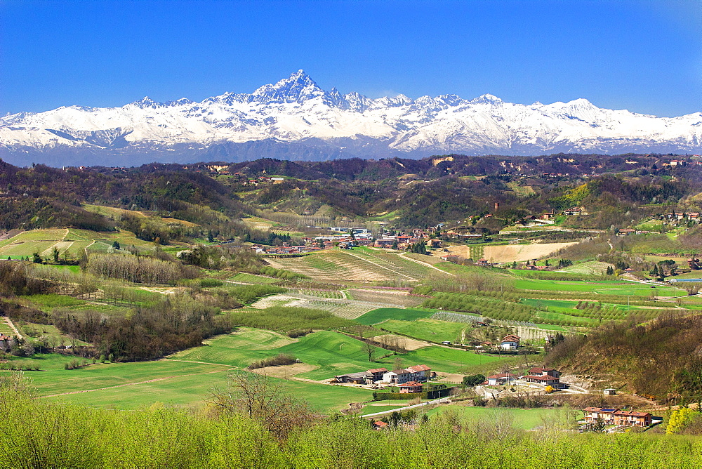 Landscape with Monviso on the back in Langhe, Piemonte, Italy, Europe