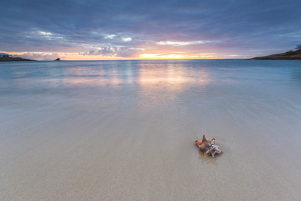 A seashell on the sand framed by the colors of Caribbean sunset Hawksbill Bay, Antigua and Barbuda, Leeward Islands, West Indies