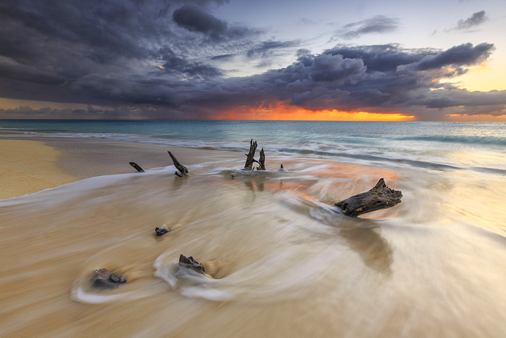 Caribbean sunset frames tree trunks on Ffryers Beach, Antigua and Barbuda, Leeward Islands, West Indies