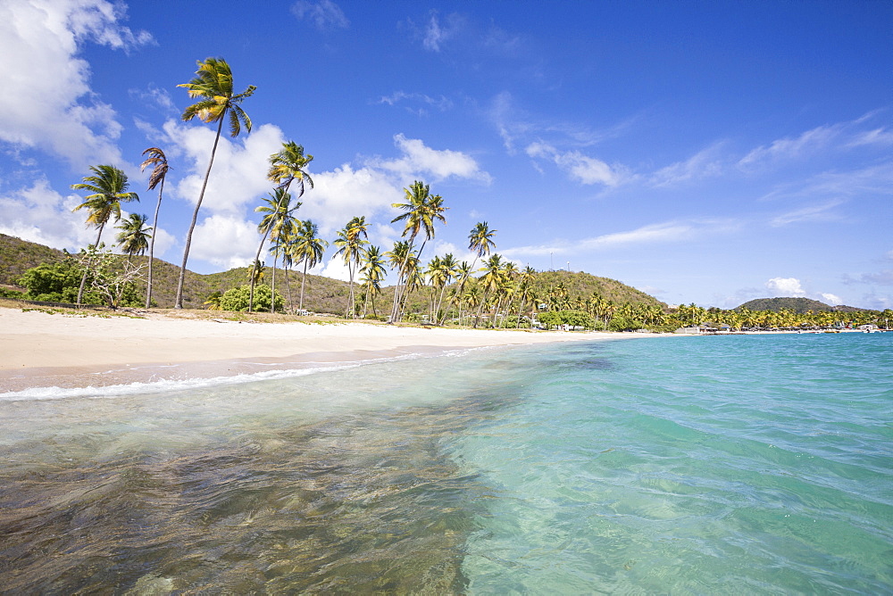 The long beach surrounded by palm trees and the Caribbean Sea, Carlisle, Morris Bay, Antigua and Barbuda, Leeward Island, West Indies