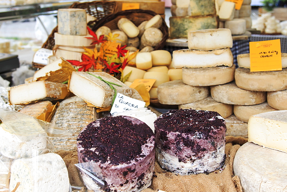 Closeup of Italian cheese with relative price tags at the Moncalvo truffle fair, Moncalvo, Piedmont, Italy, Europe